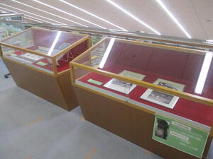 図書館展示.JPG