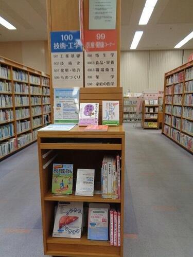 展示の様子