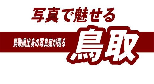 写真で魅せる.jpg
