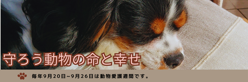 R8　一般・企画展示　看板(新).png