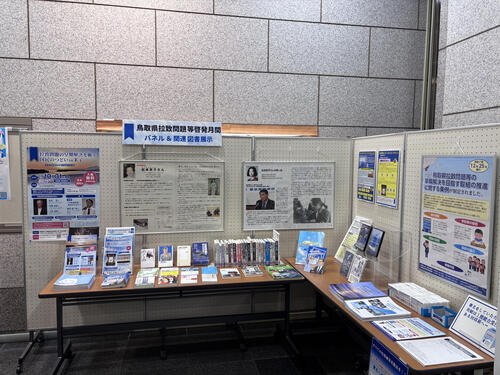 拉致問題展示.jpg