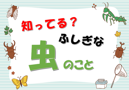 知ってる?ふしぎな虫のこと.png